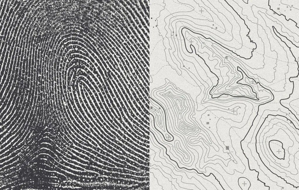 Fingerprint closeup and topographical map