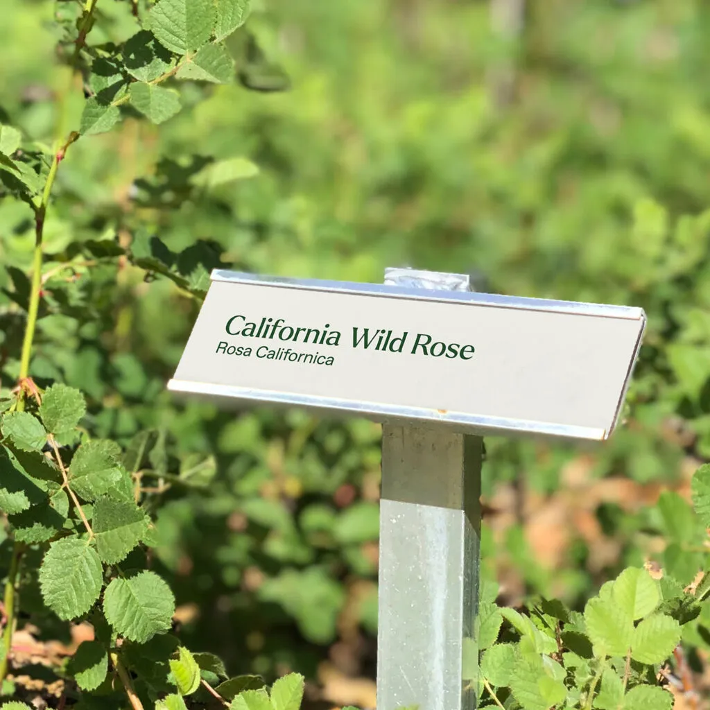 Botanical garden plant identification signage surrounded by greenery, design by J2