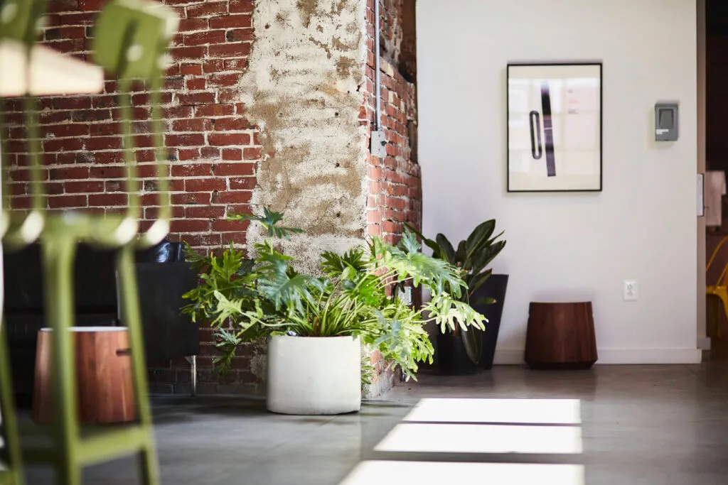 exposed brick, plants, and letterpress artwork in the J2 office