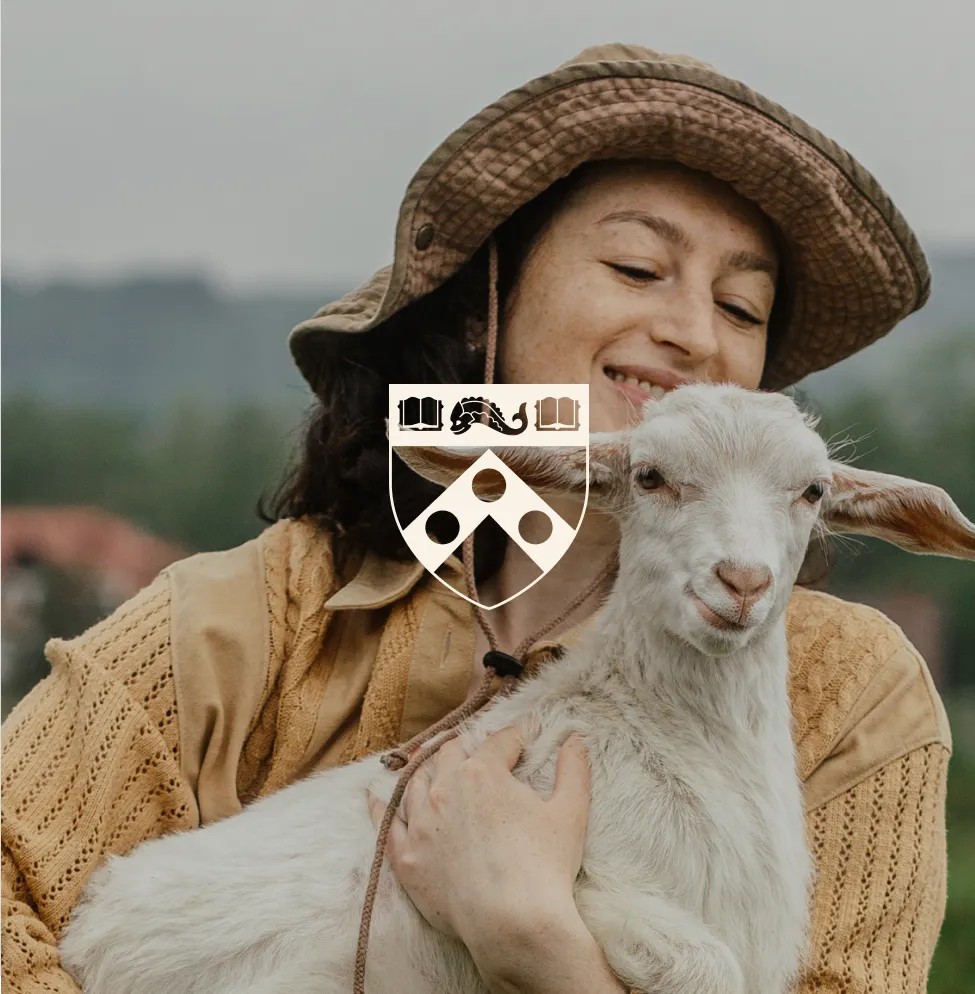 Photo of veterinarian holding a lamb with illustrated Penn Vet logo overlaid, branding and graphic design by J2