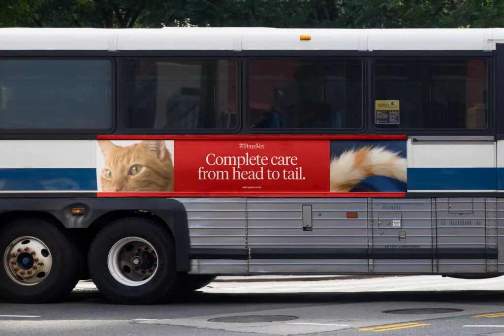 bus advertisement with cat photos, branding strategy and campaign by J2 for Penn Vet