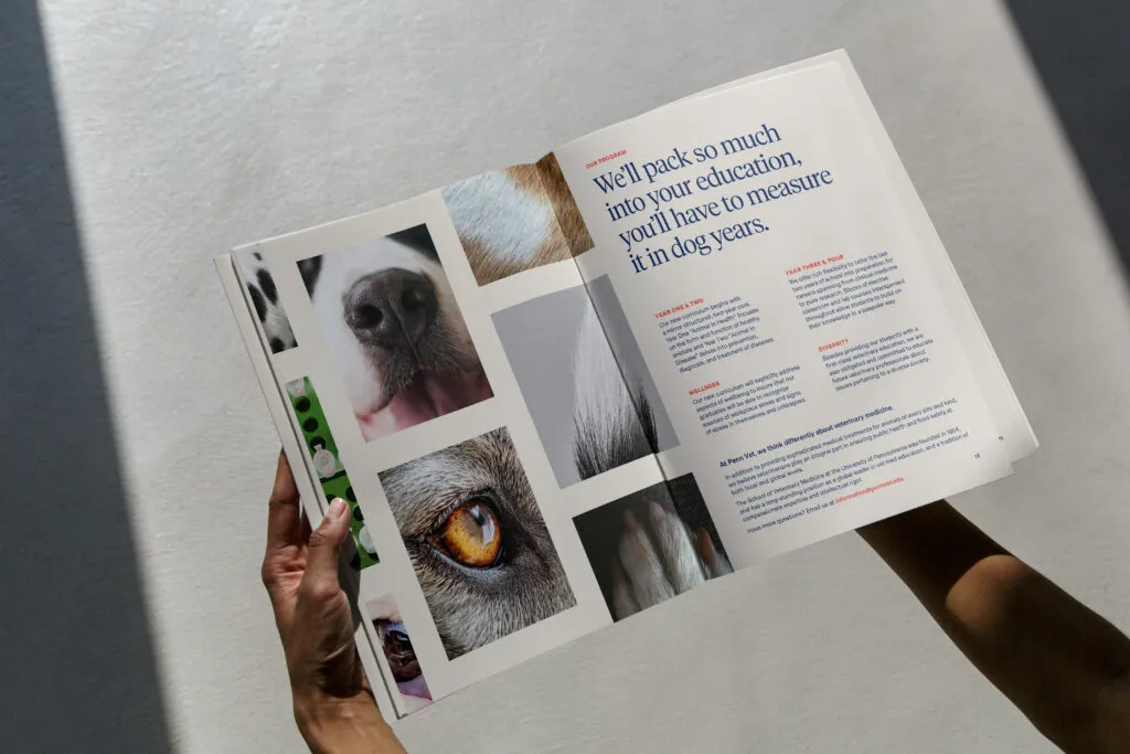 information packet for Penn Vet school, branding and graphic design by J2