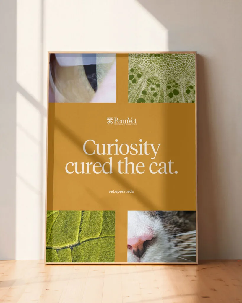 Poster with closeup pet and nature photos, Penn Vet logo, and brand voice copywriting by J2