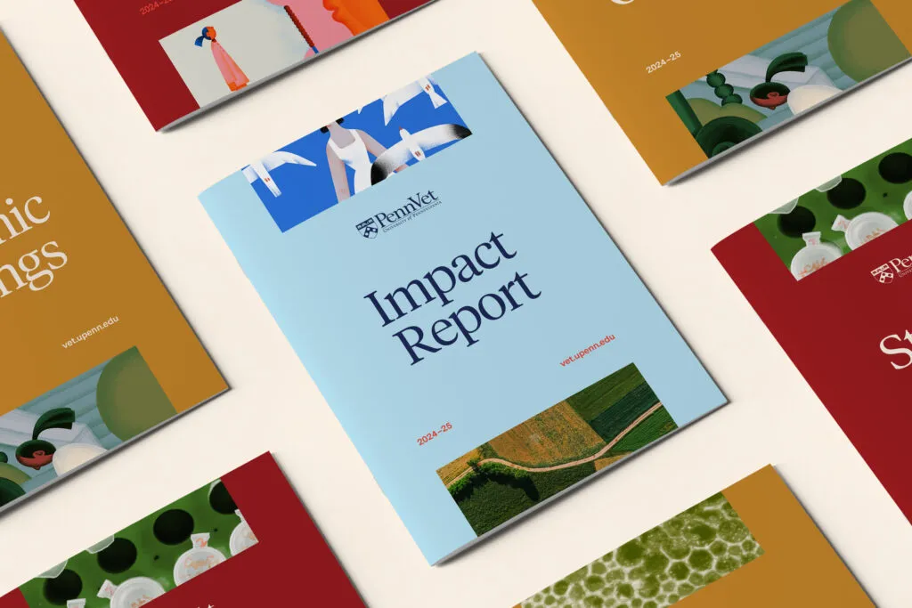 Impact report with branding and graphic design by J2 for Penn Vet