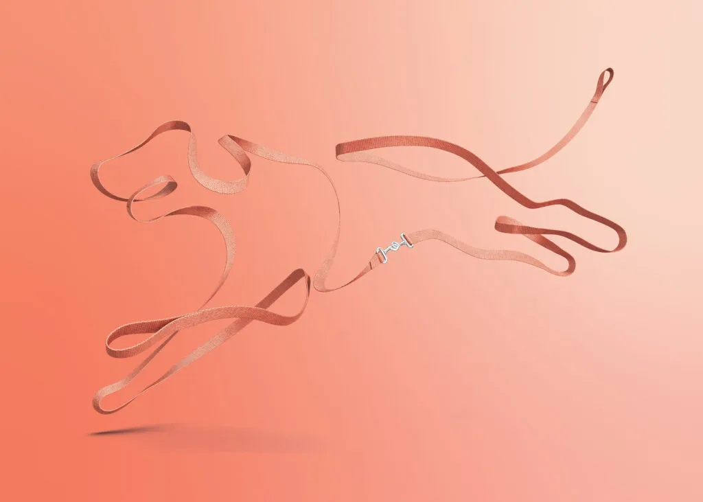 Illustration of dog leash in the shape of a dog on a red gradient background, branding and graphic design for Suveto by J2